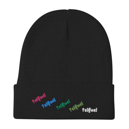 Multi-Color TelQuel Beanie